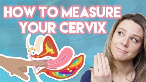 How To Measure Your Cervix Youtube