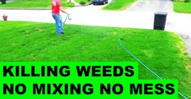 Install drip cap and latch rail. How Long Does It Take For Grass Seed To Grow? - The ...