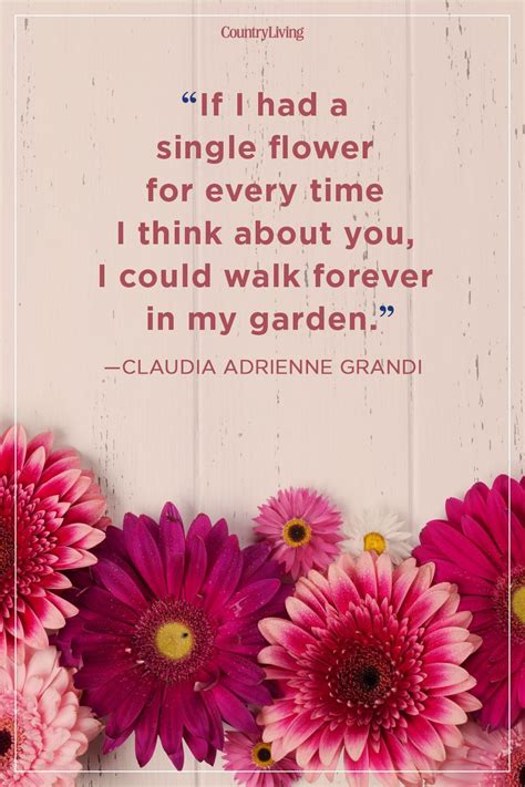 You Are Beautiful Like A Flower Quotes Shortquotescc