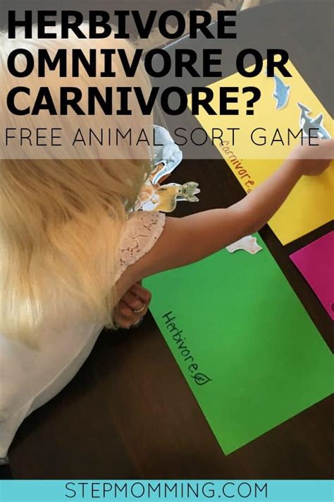 Learn To Classify Animals Herbivore Carnivore Or Omnivore