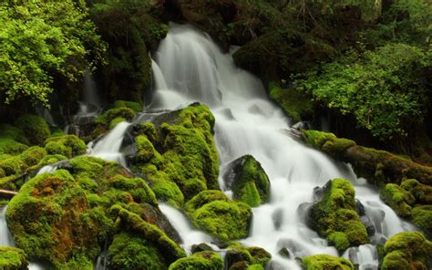 Moss Waterfall 6997229