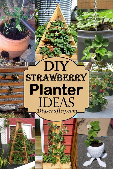31 Diy Strawberry Planter Ideas For Container Planting Diyscraftsy