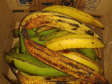 Street food crispy pisang goreng or banana fritters or crispy fried banana is one of the most popular street food snack in south. Pisang goreng crispy ~ fianda_ambri