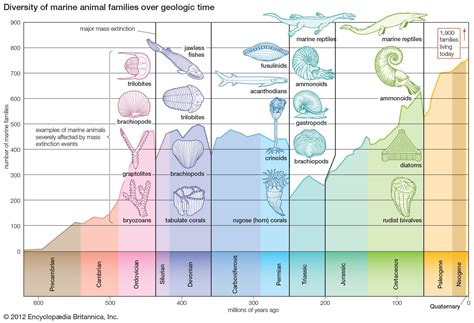 Quase Total Extinção De Famílias Fósseis Das Camadas Mais Profundas Do