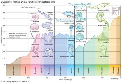 Mass Extinction Event Biology Britannica