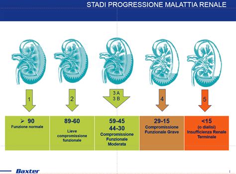 L'insufficienza renale può essere suddivisa in due grandi categorie l'insufficienza renale cronica è una condizione patologica piuttosto seria legata a un lento, ma progressivo declino delle funzioni renali. I 5 stadi dell'insufficienza renale cronica - inforenale.it