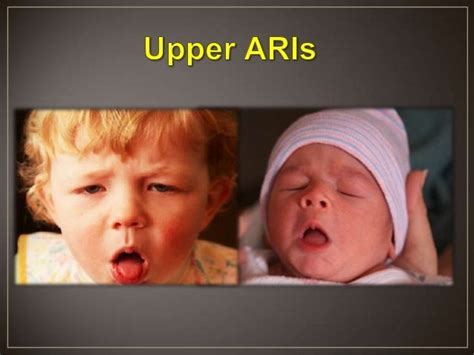 Upper Respiratory Infection For Babies Human Anatomy