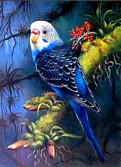 Full Square Diy 5d Bird Animal Diamond Painting Embroidery Diamond