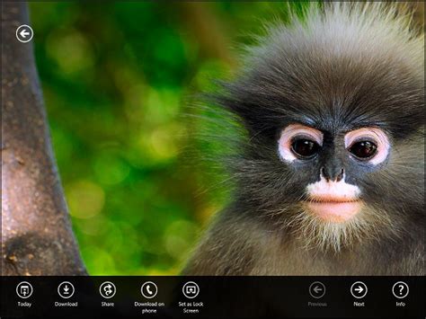 Bing Desktop Background Daily Changer For Windows 7