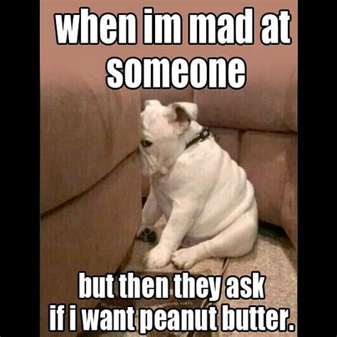 30 Funny Peanut Butter Memes Laughtard