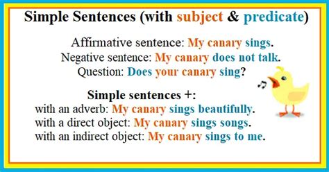 English Sentence Structure