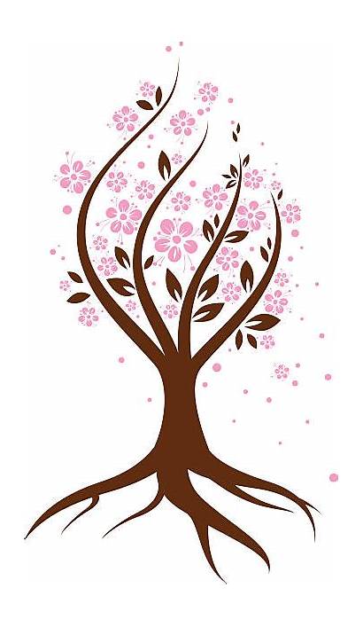Cherry Tree Vector Blossom Illustrations Clip Abstract