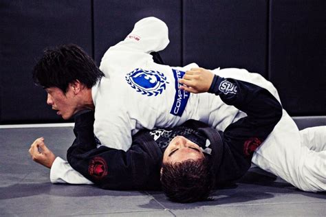 Reasons Why Brazilian Jiu Jitsu Is The Perfect Martial Art Evolve Daily