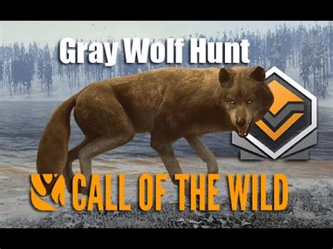Call Of The Wild Gray Wolf Hunt - YouTube