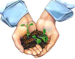 Where would we be without trees? Quotes On Tree Plantation. QuotesGram