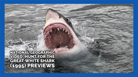 Opening And Closing To National Geographic Hunt For The Great White