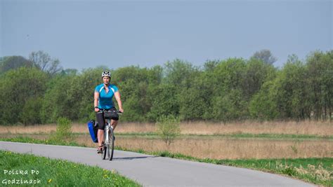 Rezerwat przyrody „mewia łacha, grupa badawcza ptaków wodnych kuling. Wiślana Trasa Rowerowa. Rowerowy hit z Małopolski!