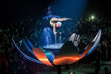 Reseña ‘sép7imo Día De Cirque Du Soleil Un Espacio De Reencuentro