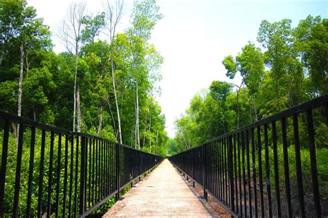 Freehold non bumi lot *size: Přírodní park Taman Alam Kuala Selangor | Malajský ...
