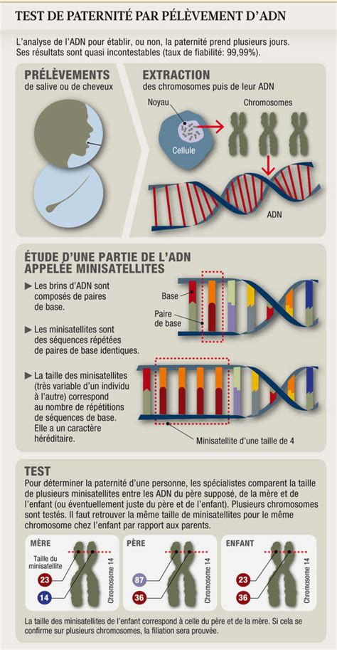 Le Test Adn Est Il Autorisé En France Automasites