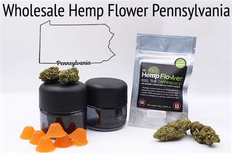 Our cbd flower is grown in perfect conditions in our greenhouse and indoor crops in spain. Wholesale Hemp Flower in Pennsylvania - Buy CBD-Rich Hemp ...