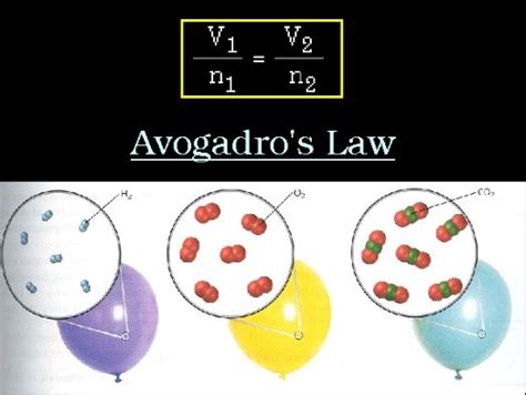 Avogadros Law Of Gases Inside Chemistry