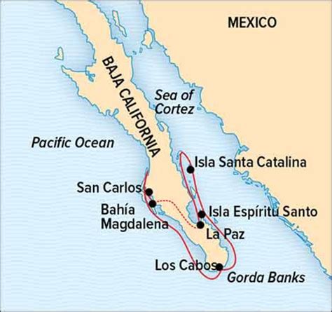 Baja California And The Sea Of Cortez Among The Great Whales The