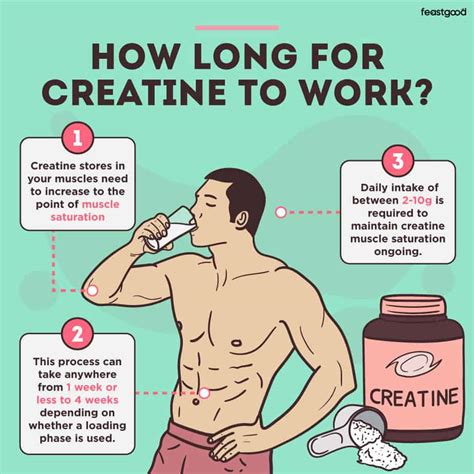 How Creatine Helps You Gain Muscle And Strength 042023