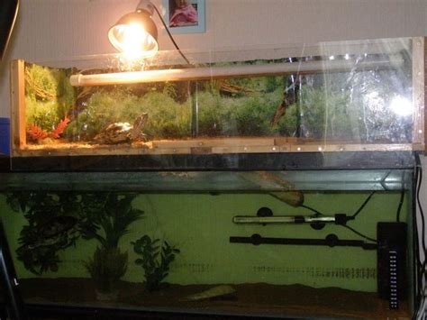 58 Best Images About Turtle Tank Ideas On Pinterest