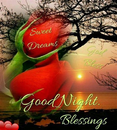 Rosey Sweet Dreams Goodnight Good Night Blessed Night Good Night