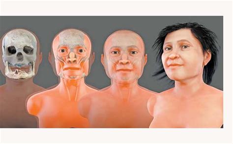 Reconstruyen Rostro De Mujer Prehistórica Almomentomx