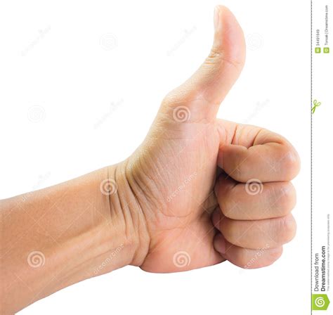 The Hand Shows Thumbs Up Stock Image Image Of Hand Closeup 34491949