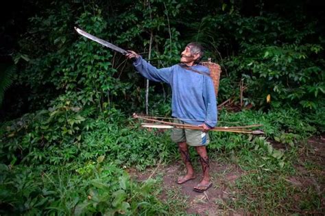 Brazils Endangered Arara Tribe Vow To Take Up Bows And Arrows