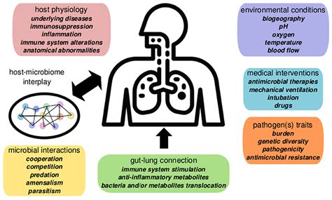 Frontiers Altered Ecology Of The Respiratory Tract Microbiome And