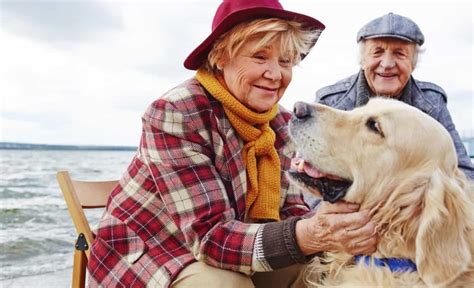 12 Best Dogs For Seniors Top Dogs For Seniors And Elderly Owners