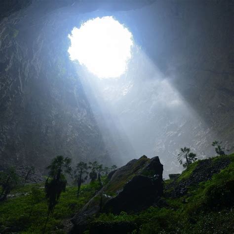 A Massive Sinkhole Was Discovered In China With Ancient Trees Over 130 Feet In Length Growing At