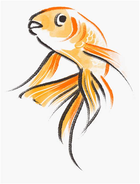 Goldfish Drawing Png Transparent Png Kindpng