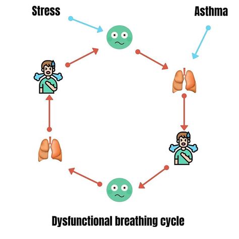 The Dysfunctional Breathing Cycle
