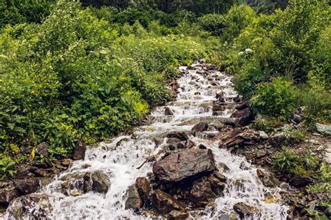 Stream Flows Over Stones Among The Dense Grass Stock Photo Image Of