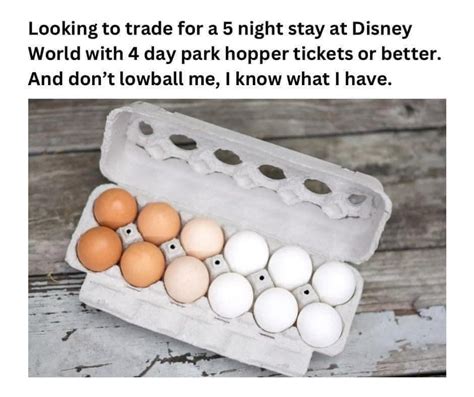 The Funniest Expensive Egg Memes In 2023 Lola Lambchops