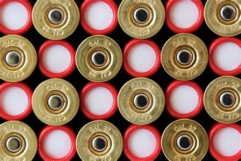 Shotgun Shells Wallpaper