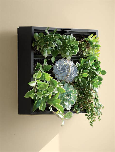 Green Wall Planter Has Watering Hole On Top Felt Keeps Soil In Place