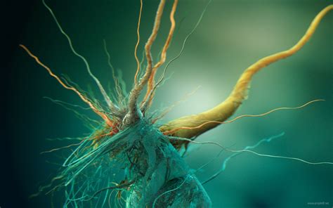Great for tracking your big game, for wildlife viewing in general, or for your home. abstract, Brains, Cells, Biology Wallpapers HD / Desktop ...