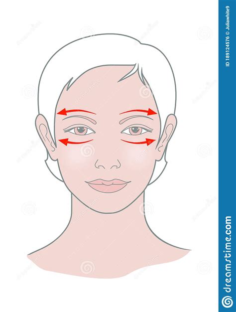 Shiatsu Points Face Massage Acupuncture Female Head View Vector Stock Vector Illustration