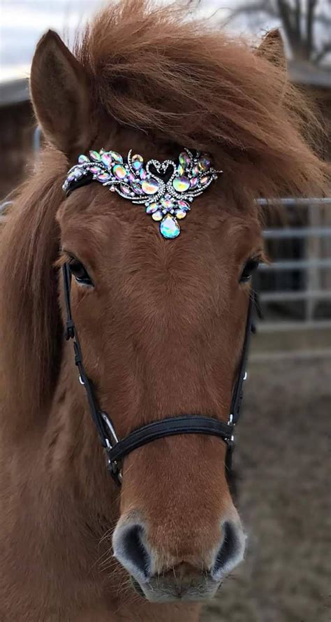 Custom Crystal Bling Swan Browband Etsy In 2021 Bling Horse Tack