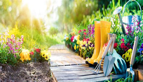 In this video you'll learn what vegetables i'm planting this year in my fall vegetable garden and why.i go over a few. Best Flowers to Plant in Your Fall Garden - Pennysaver ...