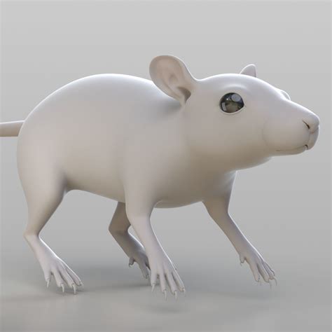 Realistic Rat Rodent 3d Model Cgtrader