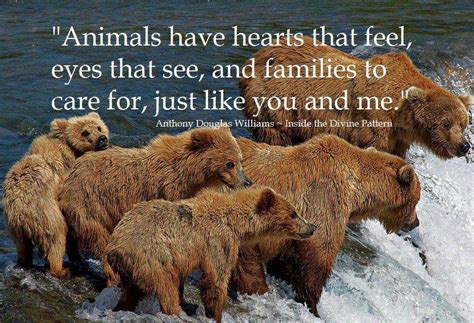 Quotes About Saving Animals 28 Quotes