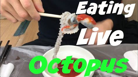 Eating Whole Live Octopus In Korea 🍢🍝 산낙지 Youtube