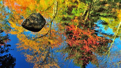 Red Yellow Green Autumn Trees Leaves Branches Under Blue Sky Reflection